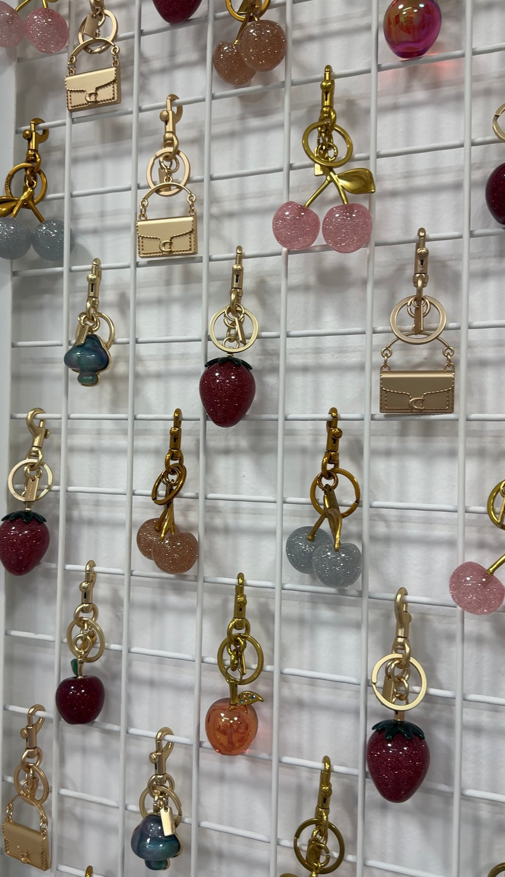 Coach Charms