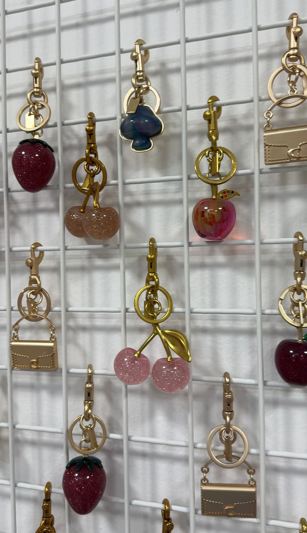 Coach Charms