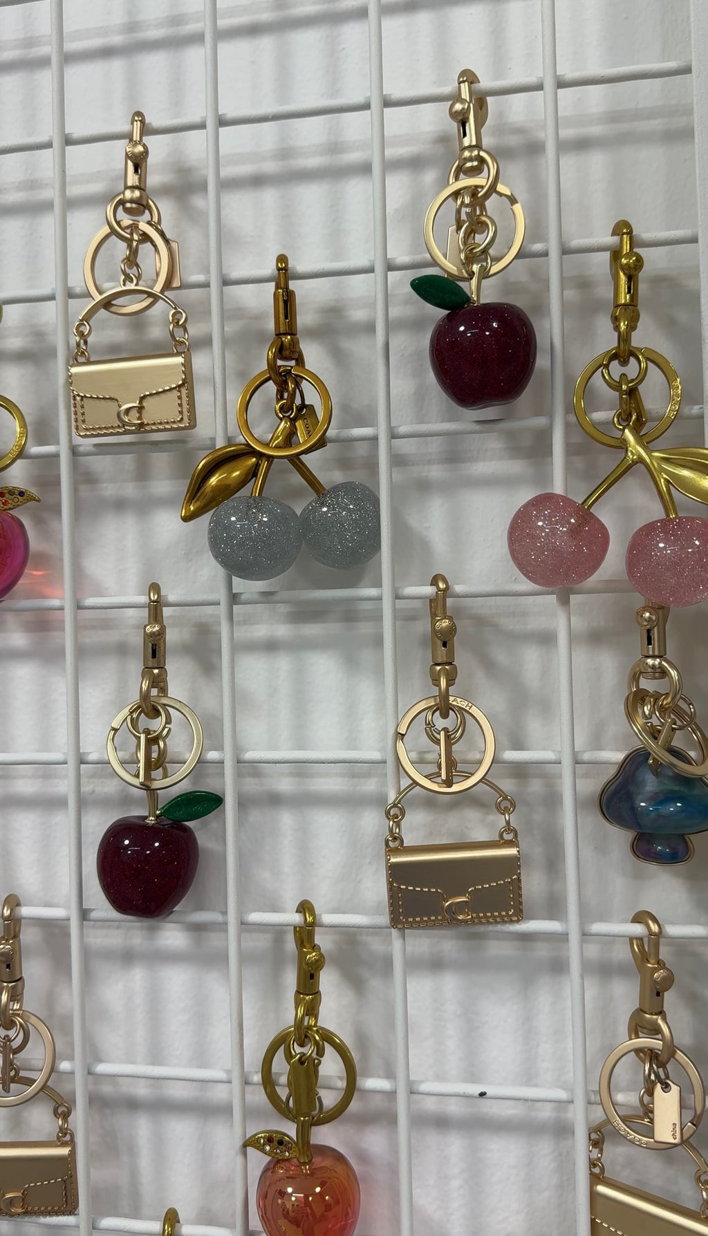Coach Charms