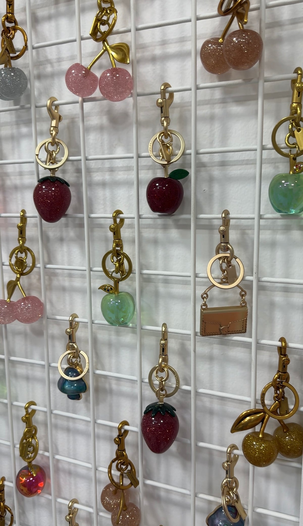 Coach Charms